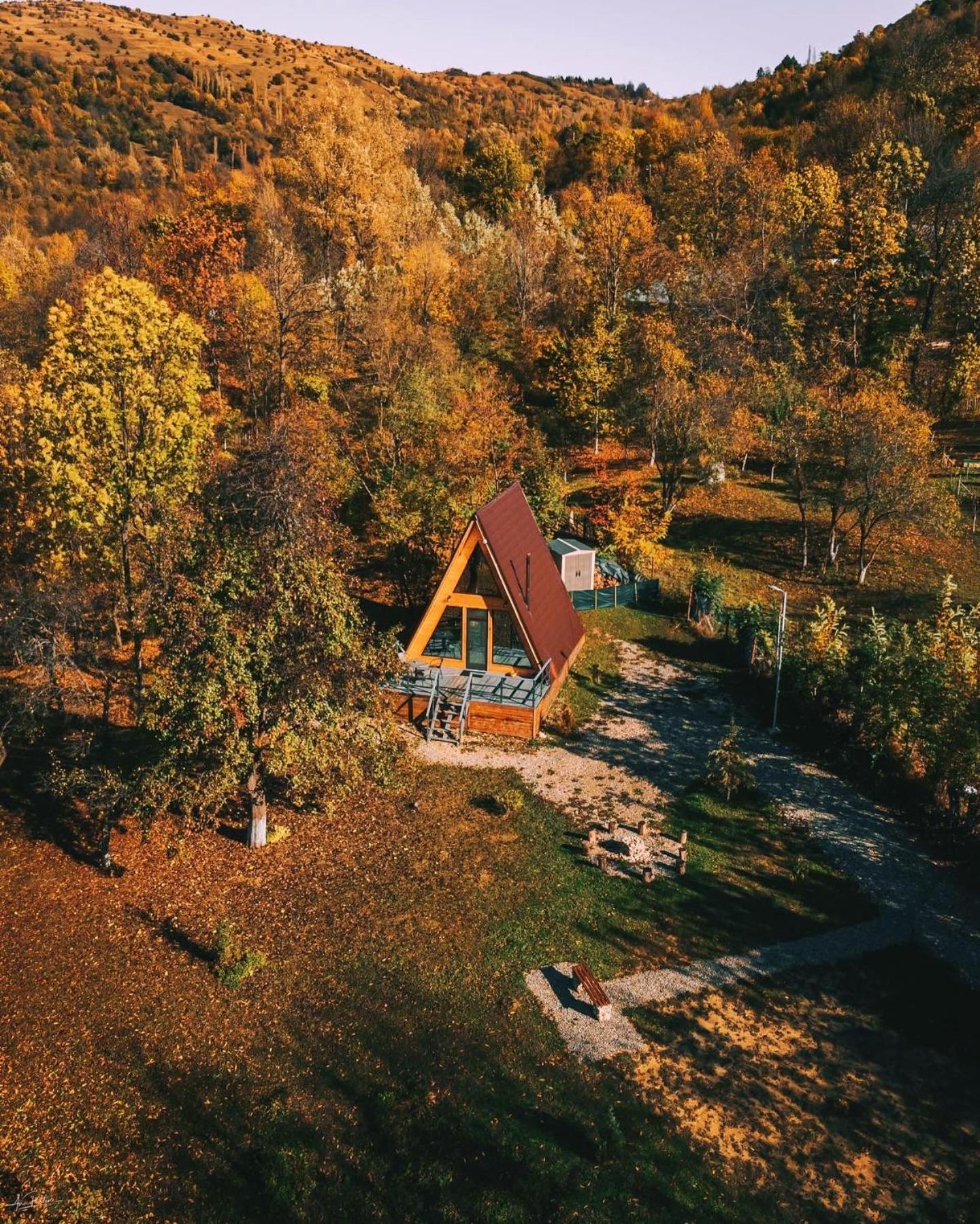 Villa Casutele Din Poienita Comarnic Exterior foto